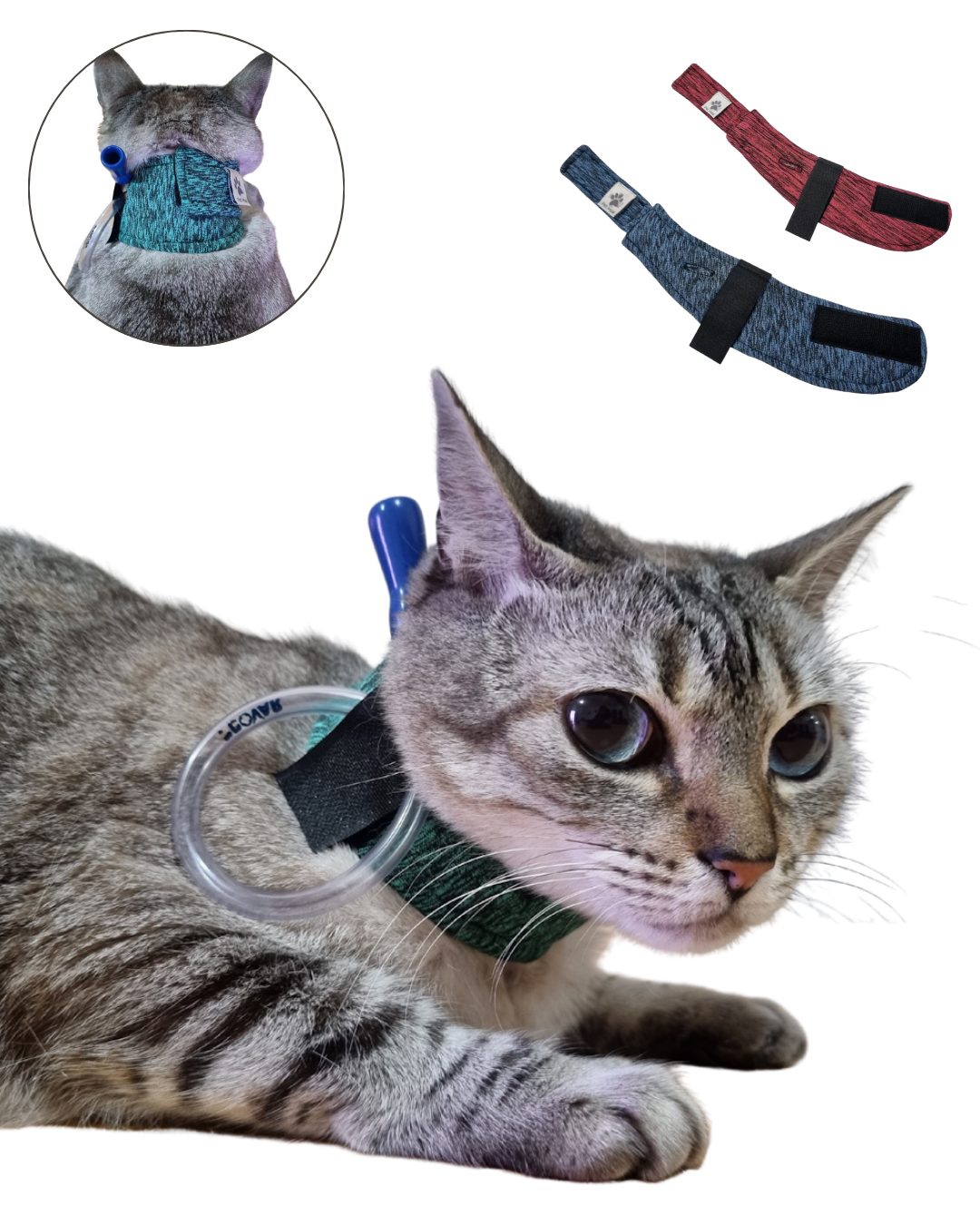 PROTECTOR DUO DRY PARA SONDA ESOFÁGICA GATO