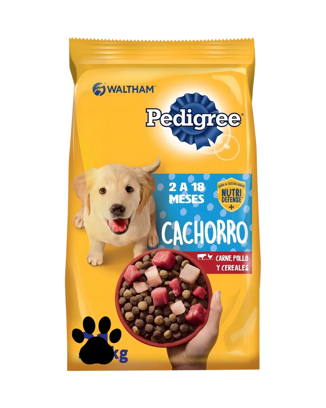 Pedrigee cachorro