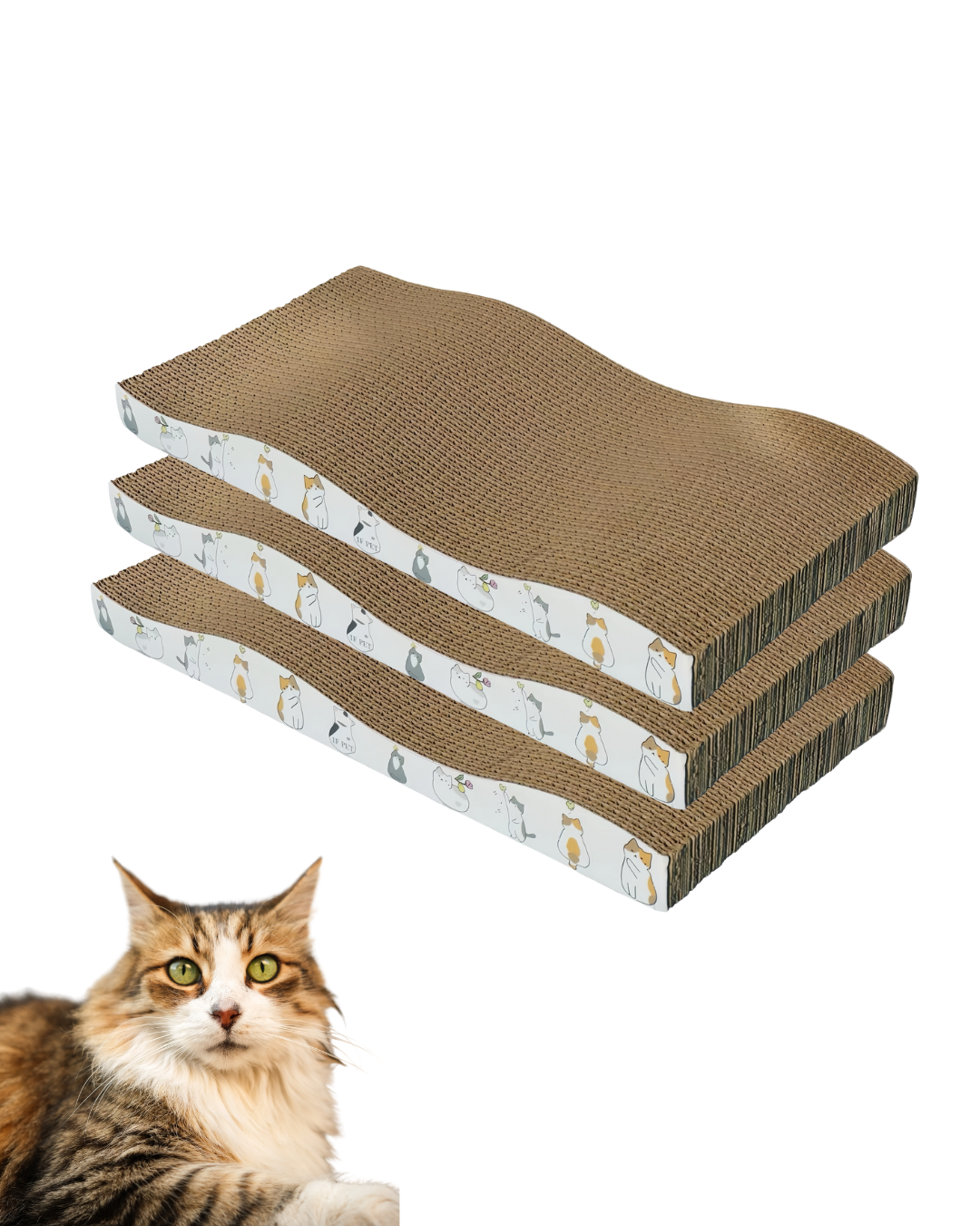 RASCADOR DE CARTON BLANCO 