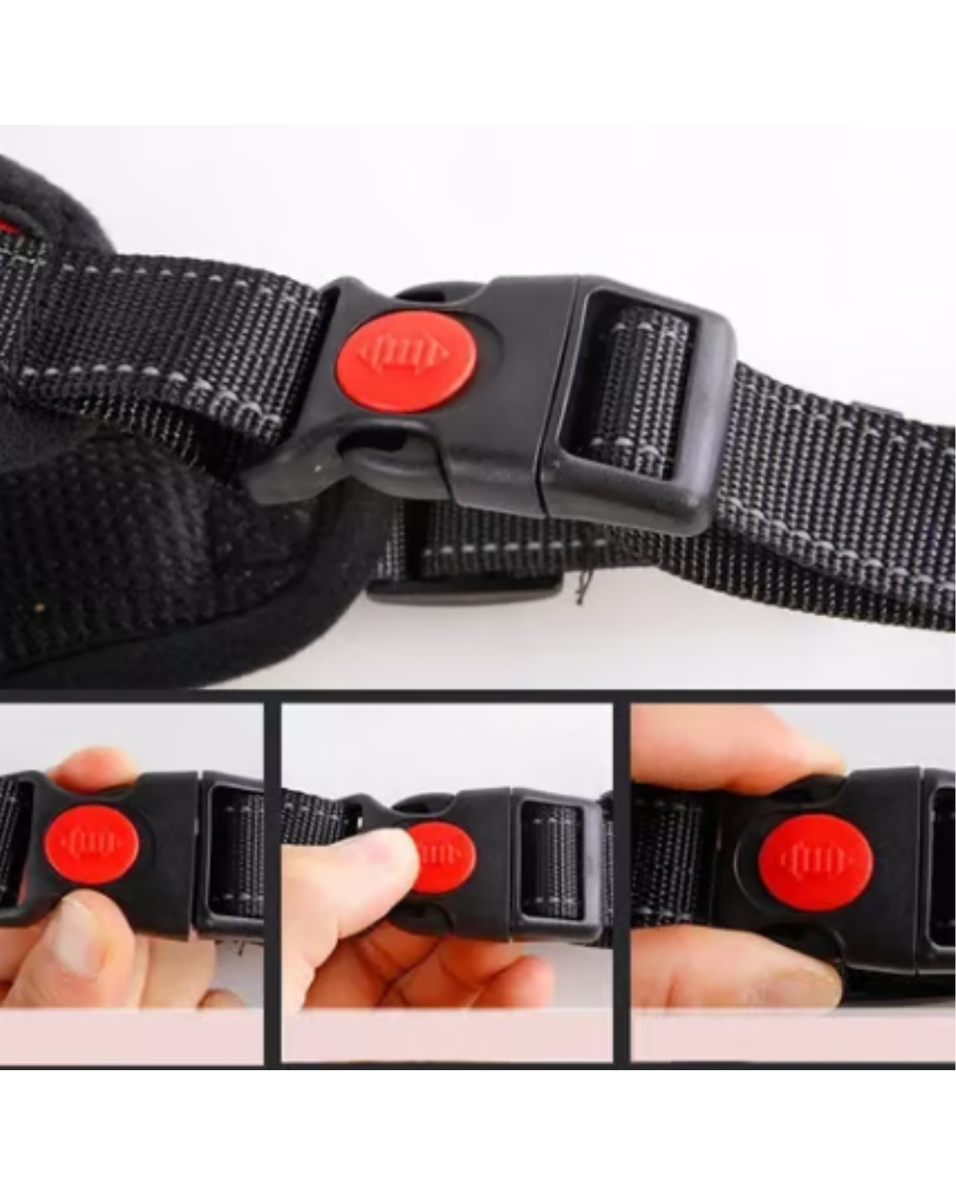 Arnes reforzado acolchonado 