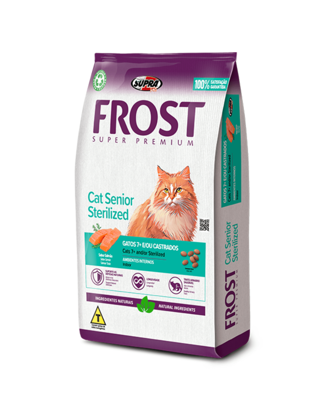Frost cat senior 