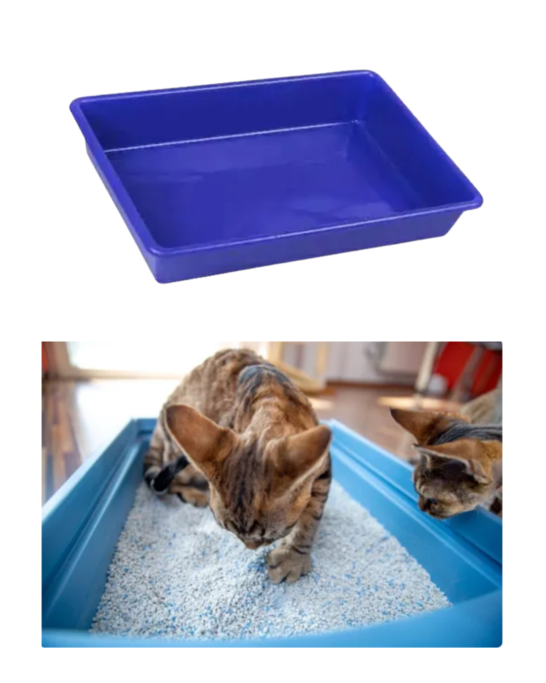 BANDEJA MEDIANA FOUR PLASTIC