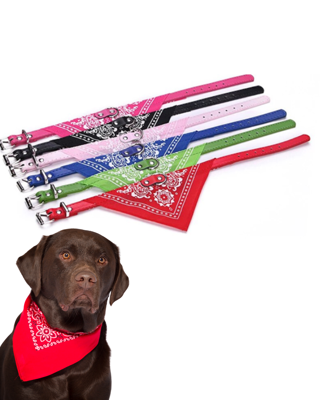 Collar bandana