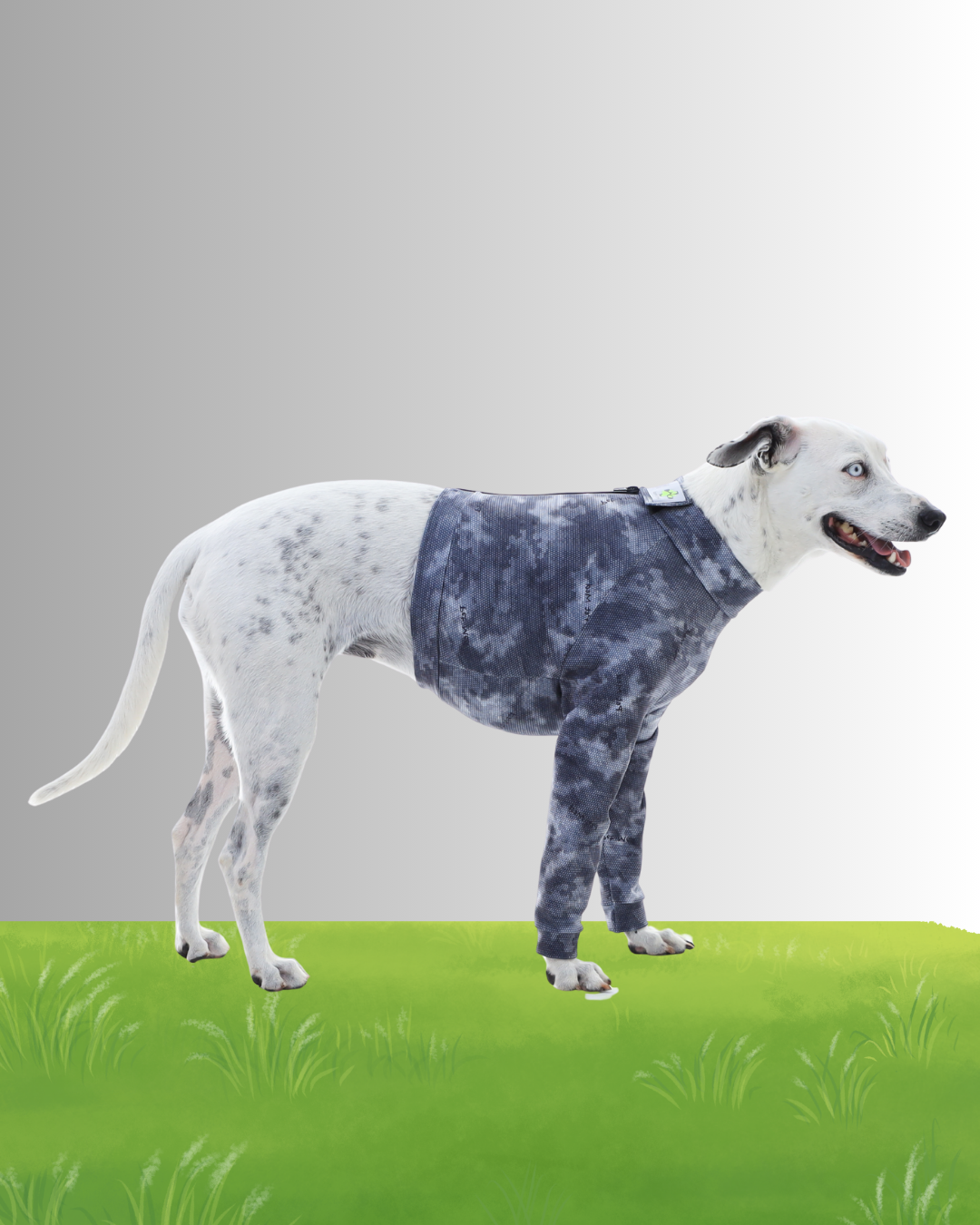 PROTECTOR DE PECHO Y EXTREMIDADES DELANTERAS PERRO