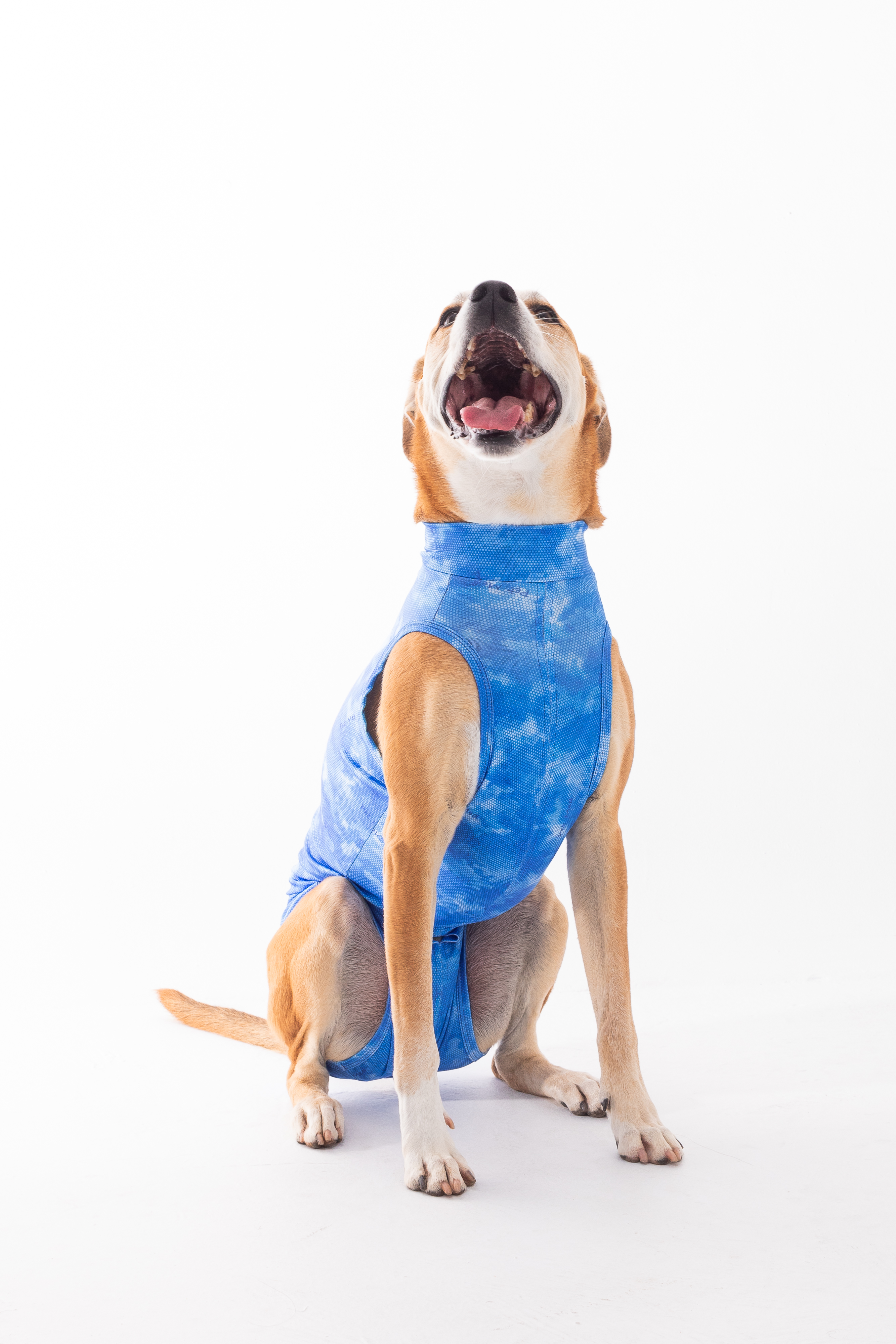 PARA PERRO MACHO castracion – DRY LIGHT SUPREME