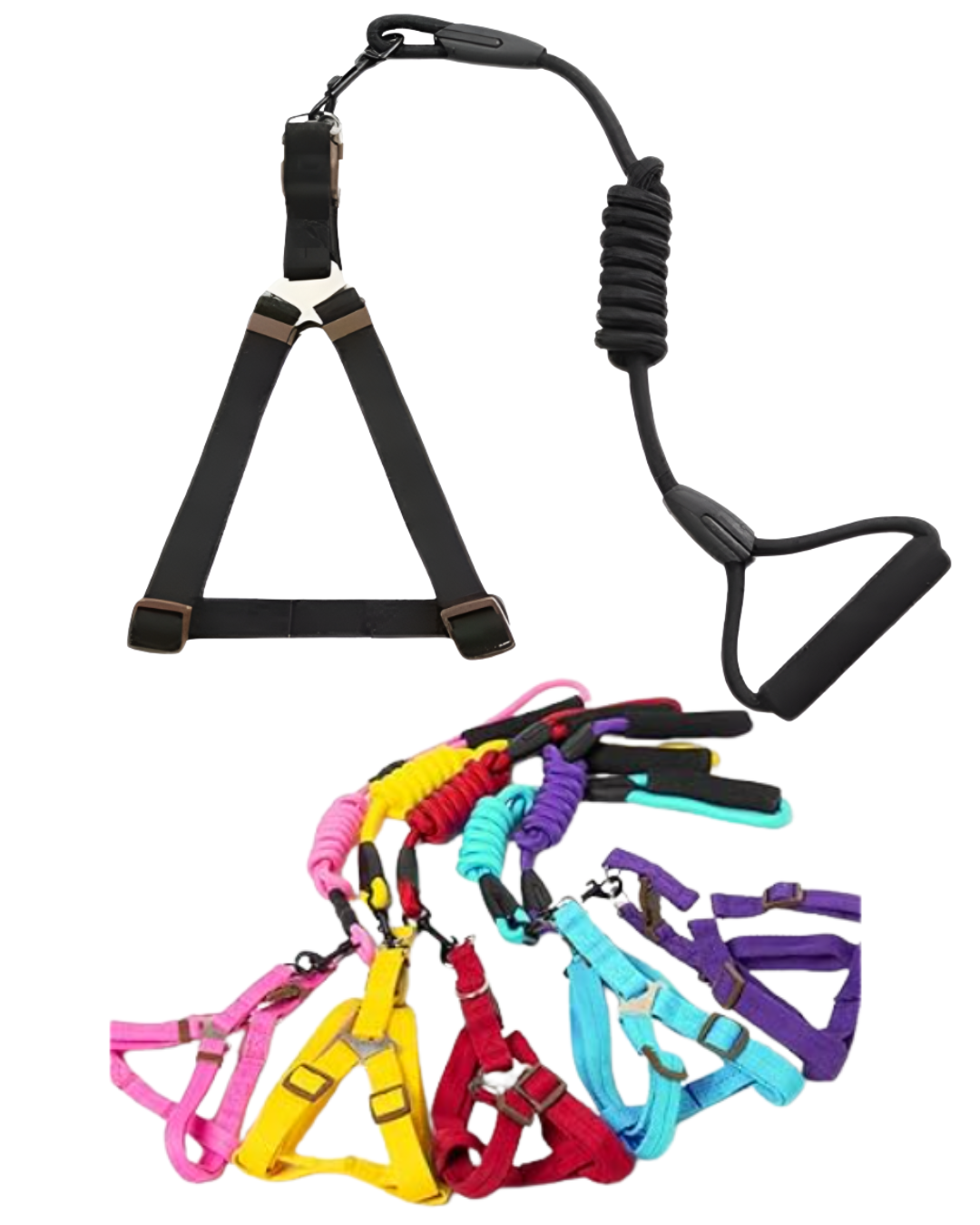 Arnes de tela con correa 