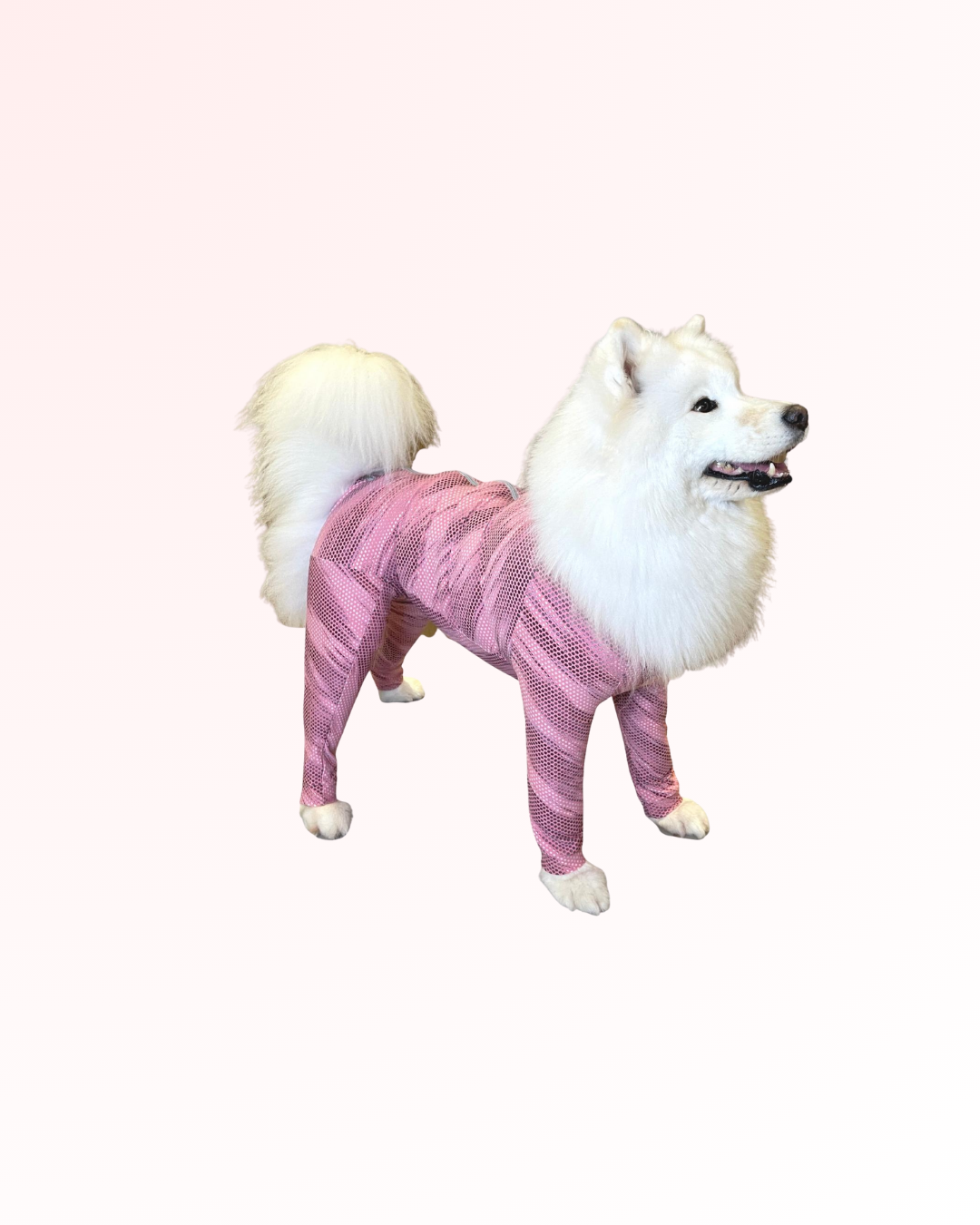 PROTECTOR CUERPO ENTERO ultralight para perros