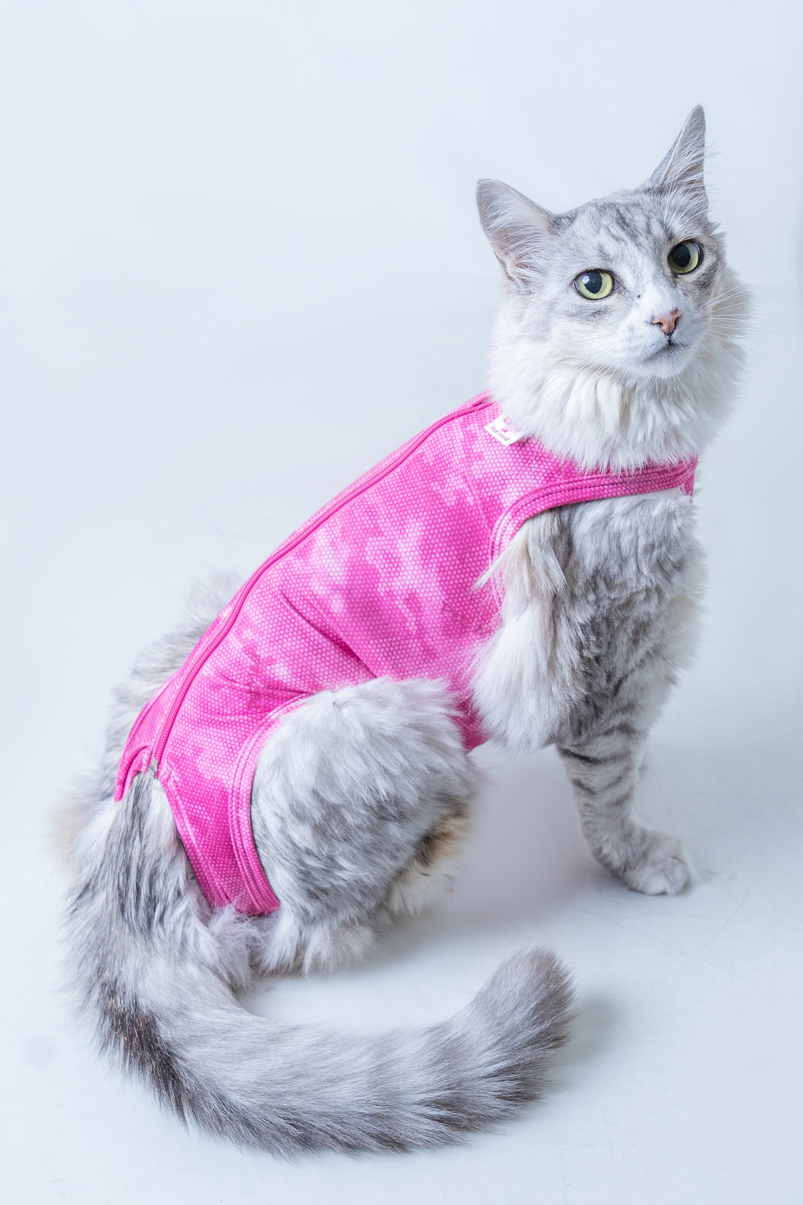 PARA GATOS DRY LIGHT SUPREME