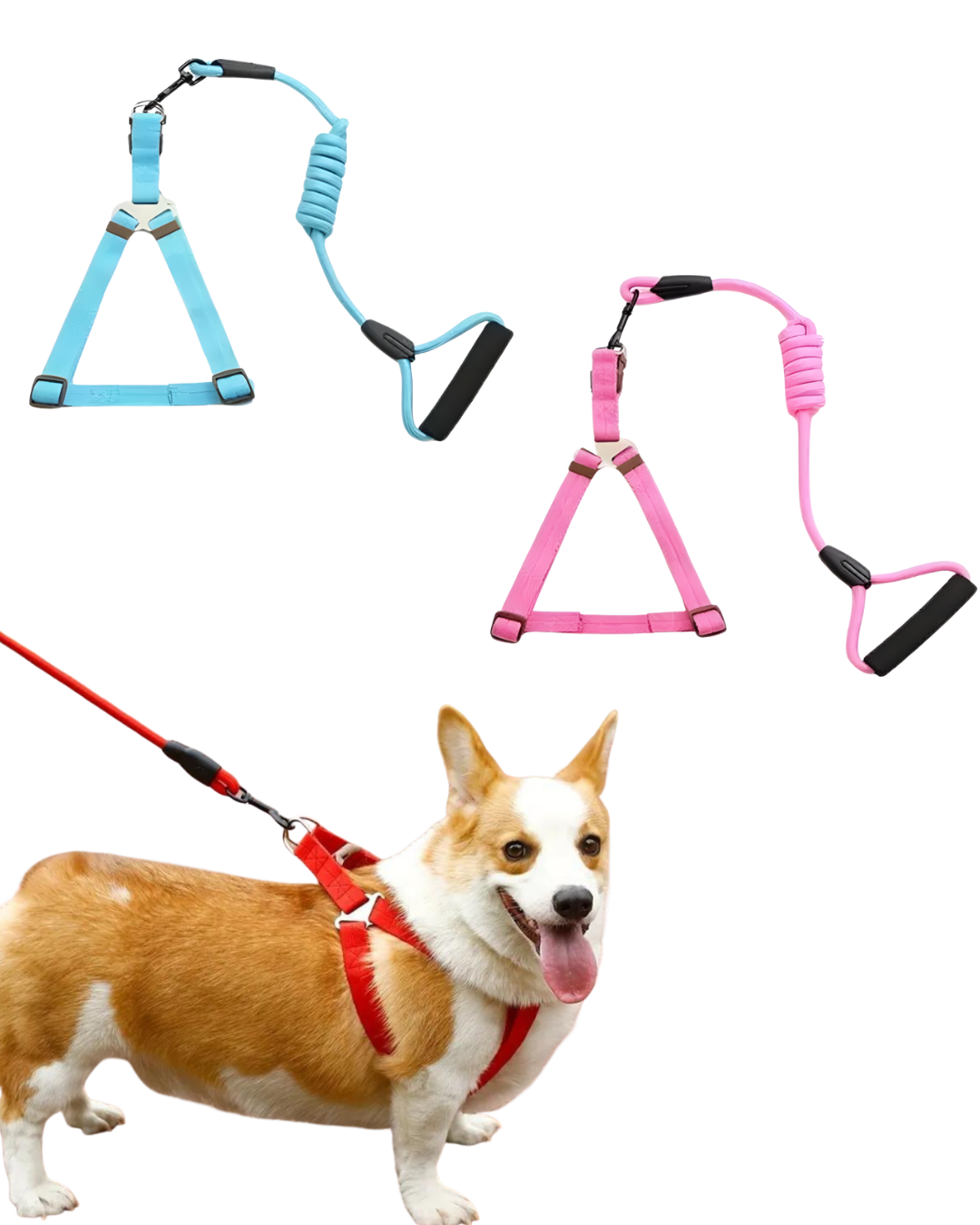 Arnes de tela con correa 