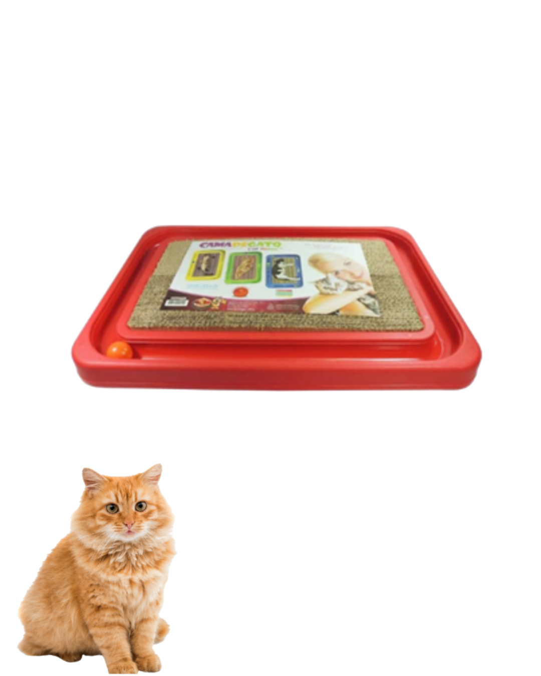 CAT RELAX DE CARTÓN CON PELOTITAS 