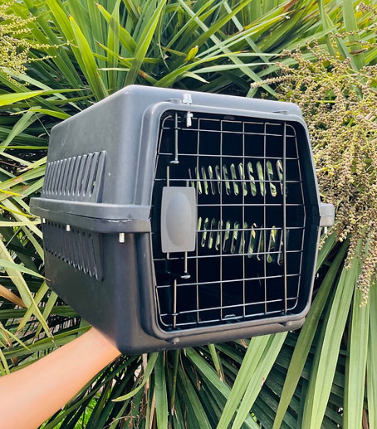 Transportadora con puerta de metal 