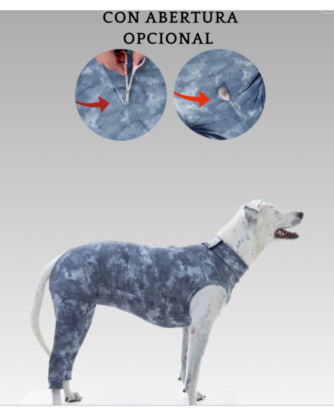 PROTECTOR DE EXTREMIDADES POSTERIORES PERRO