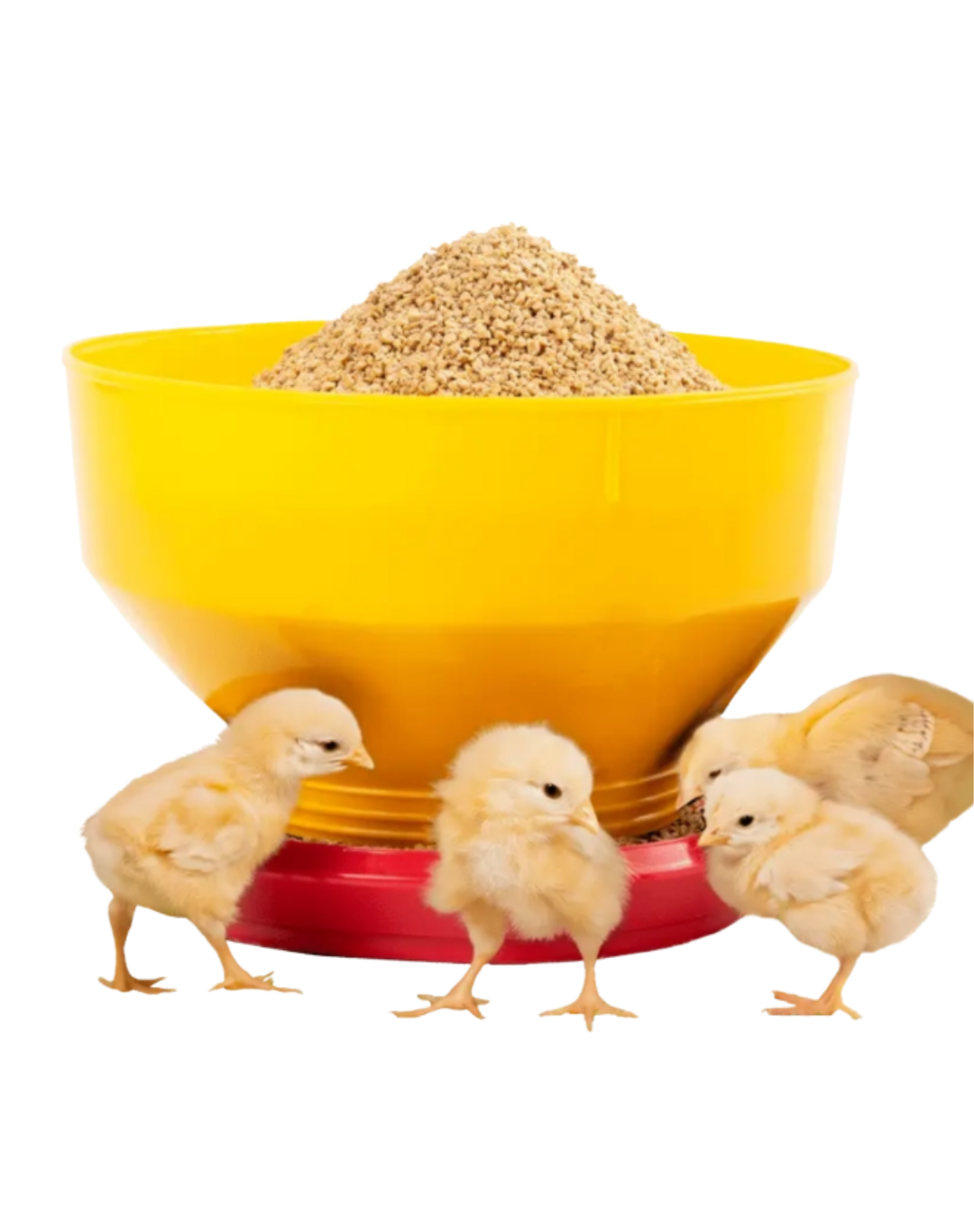 COMEDERO INFANTIL PARA POLLITOS 5 KG