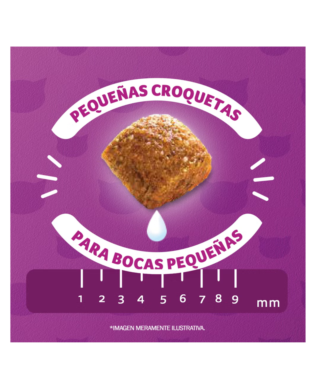 Whiskas Gatitos Carne y Leche 