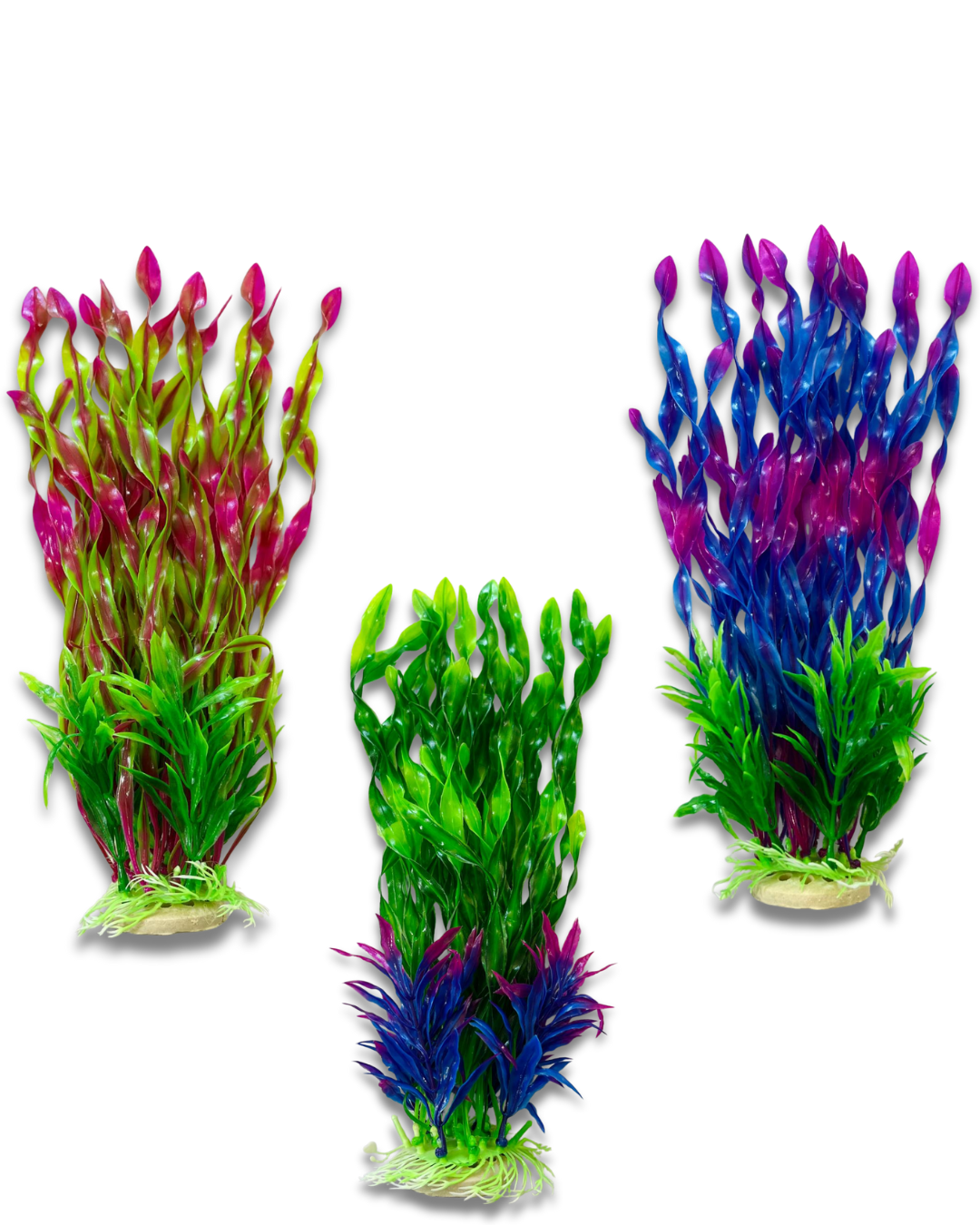 PLANTA 26 CM X 1 UNIDAD