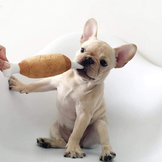HUESO CON CARNE DE PELUCHE