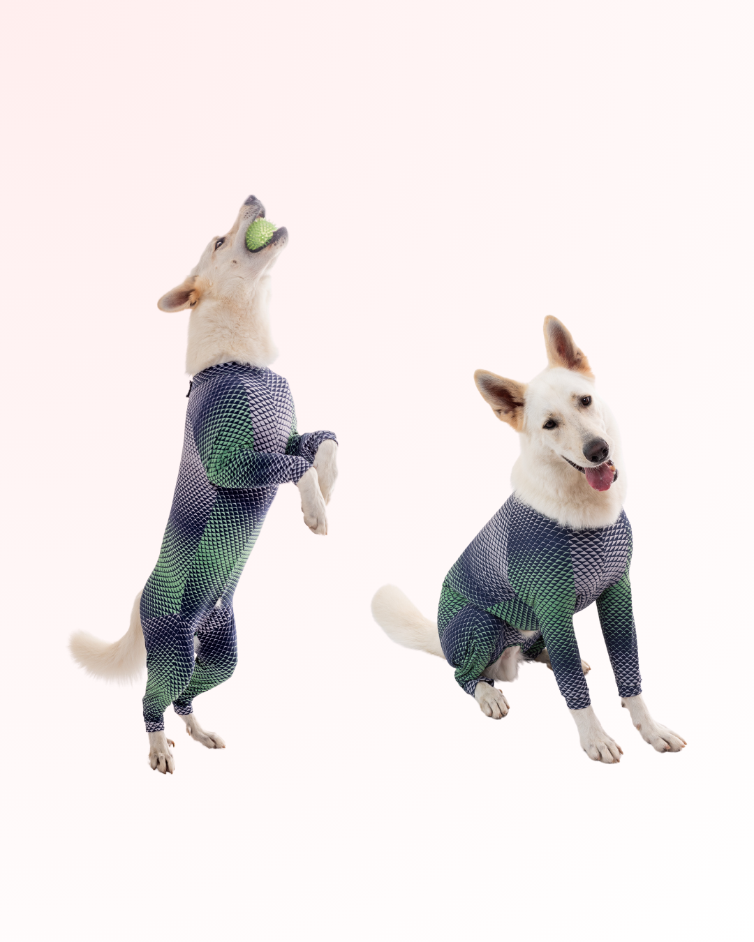 PROTECTOR CUERPO ENTERO ultralight para perros