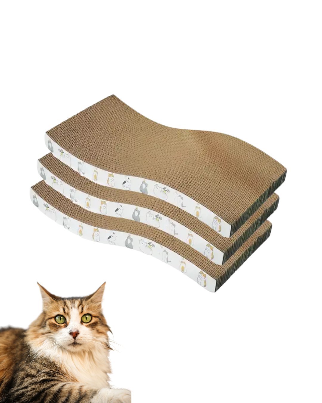 RASCADOR DE CARTON BLANCO 