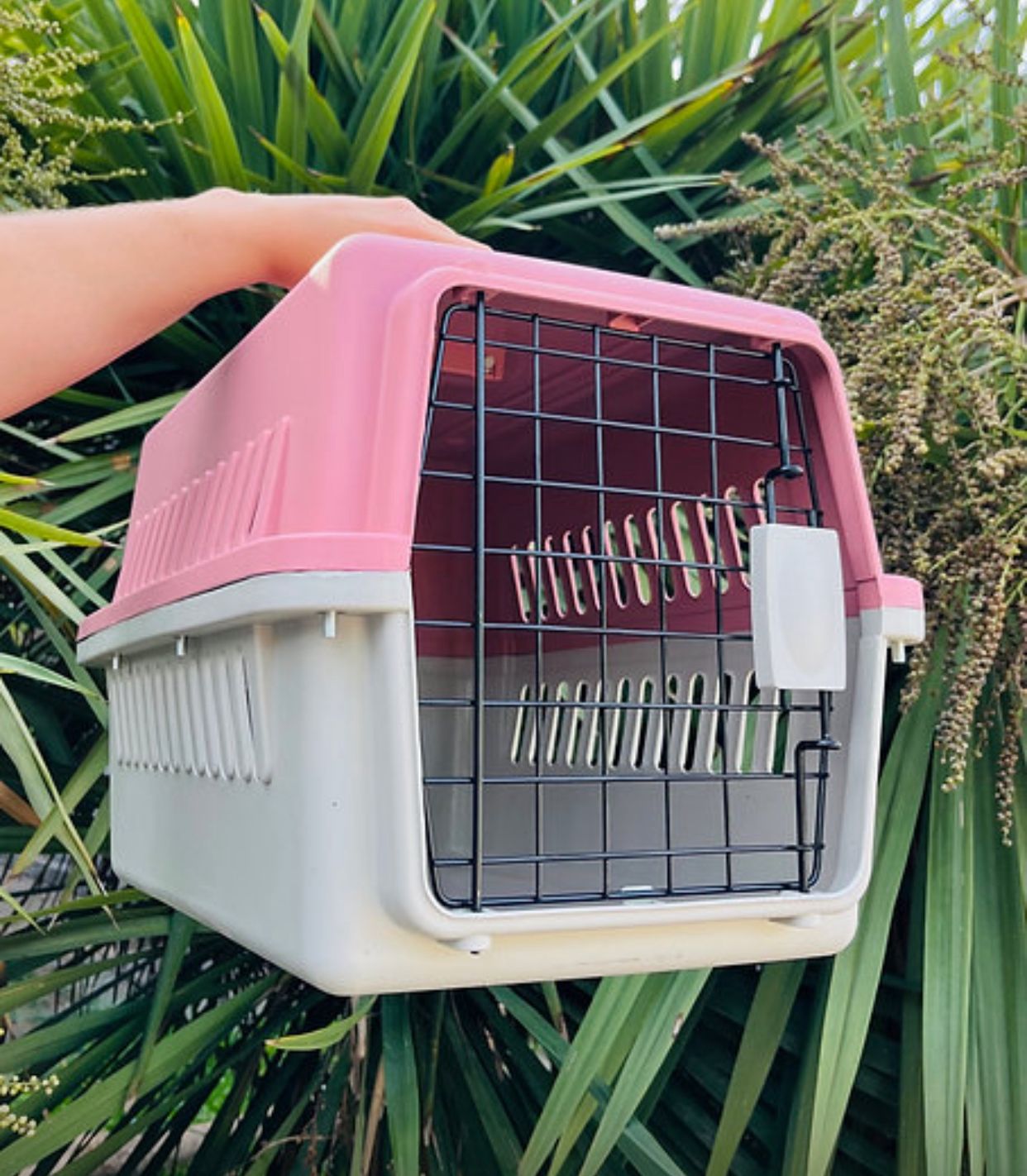 Transportadora con puerta de metal 