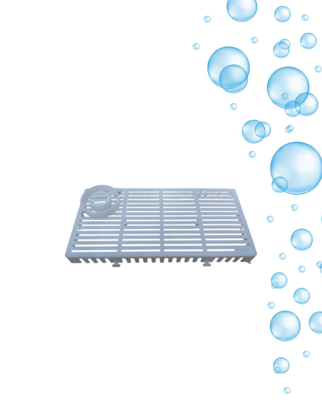 PLACA BIOLOGICA PARA PECERAS