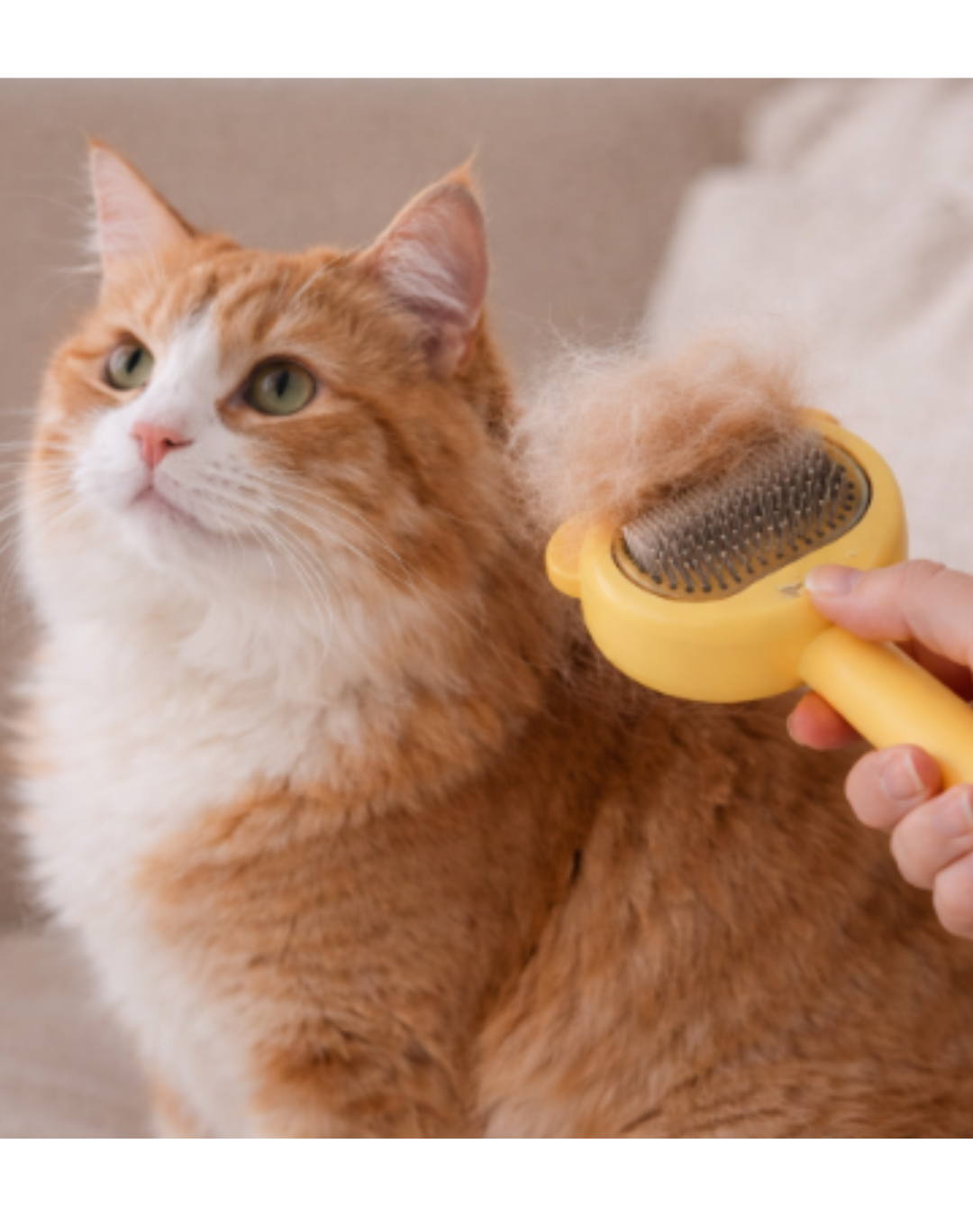 Cepillo expulsa pelo 
