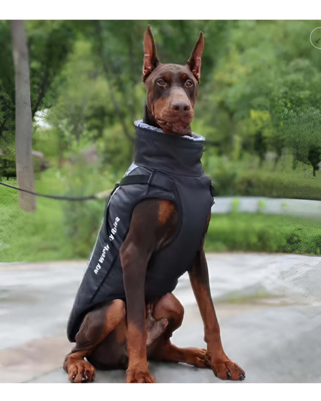 Chaqueta Impermeable 