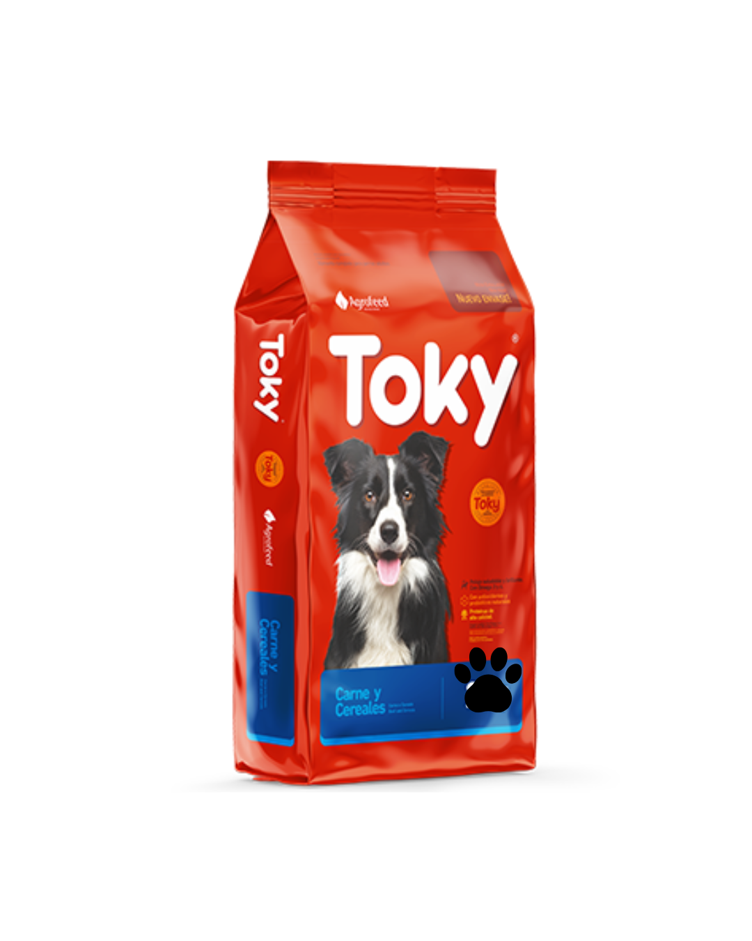 Toky Perro adulto 