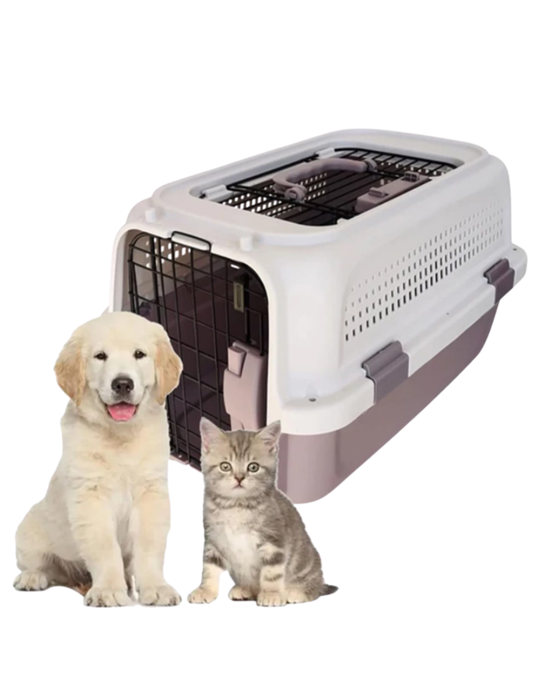 TRANSPORTADORA CON VENTANA SUPERIOR