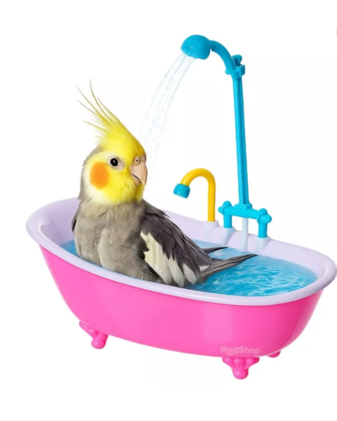 BAÑERA PARA AVES CON LLUVIERO