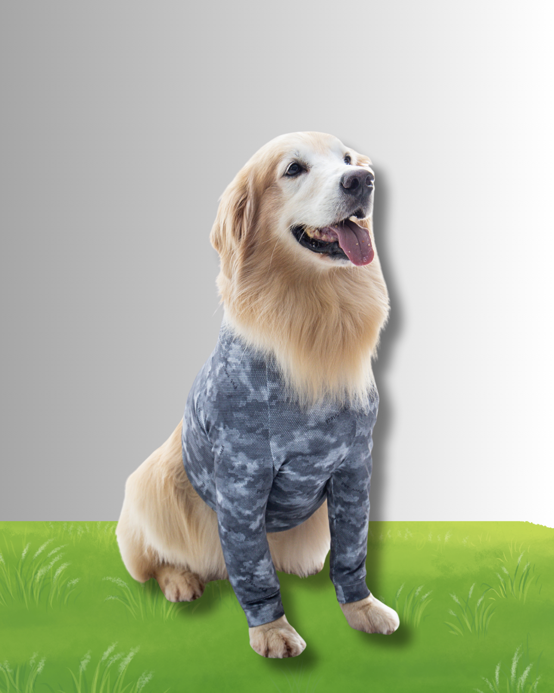 PROTECTOR DE PECHO Y EXTREMIDADES DELANTERAS PERRO