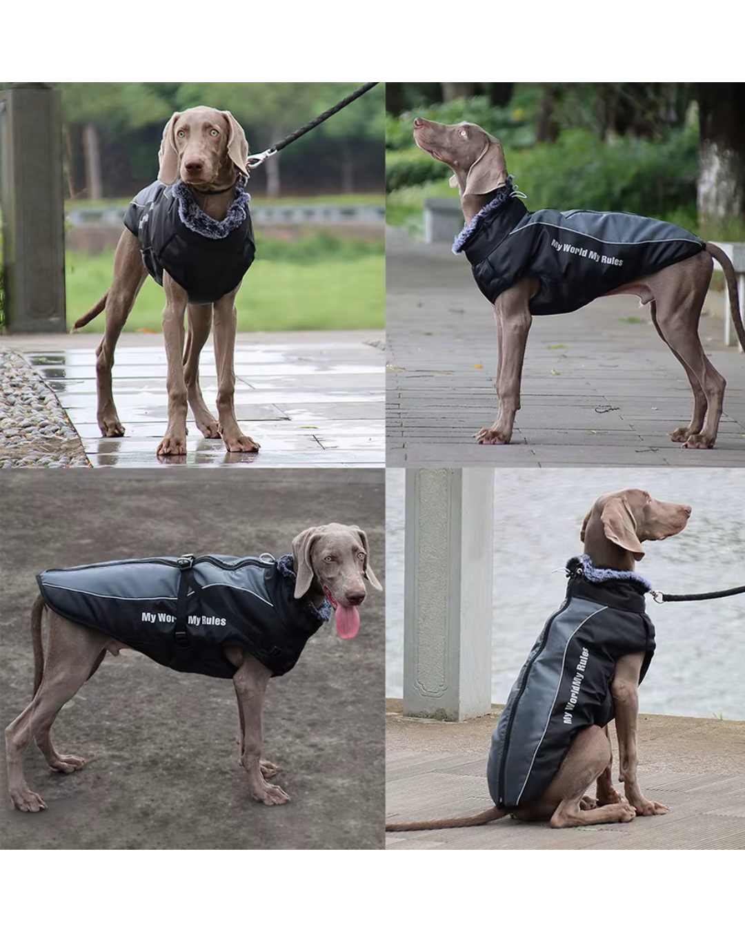 Chaqueta Impermeable 