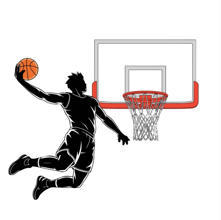 The Basketball Journey