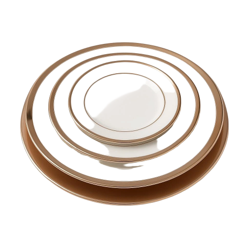 Elegant Ceramic Plate Set 