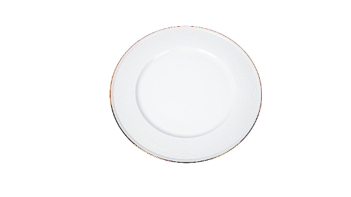 Elegant White charger plate