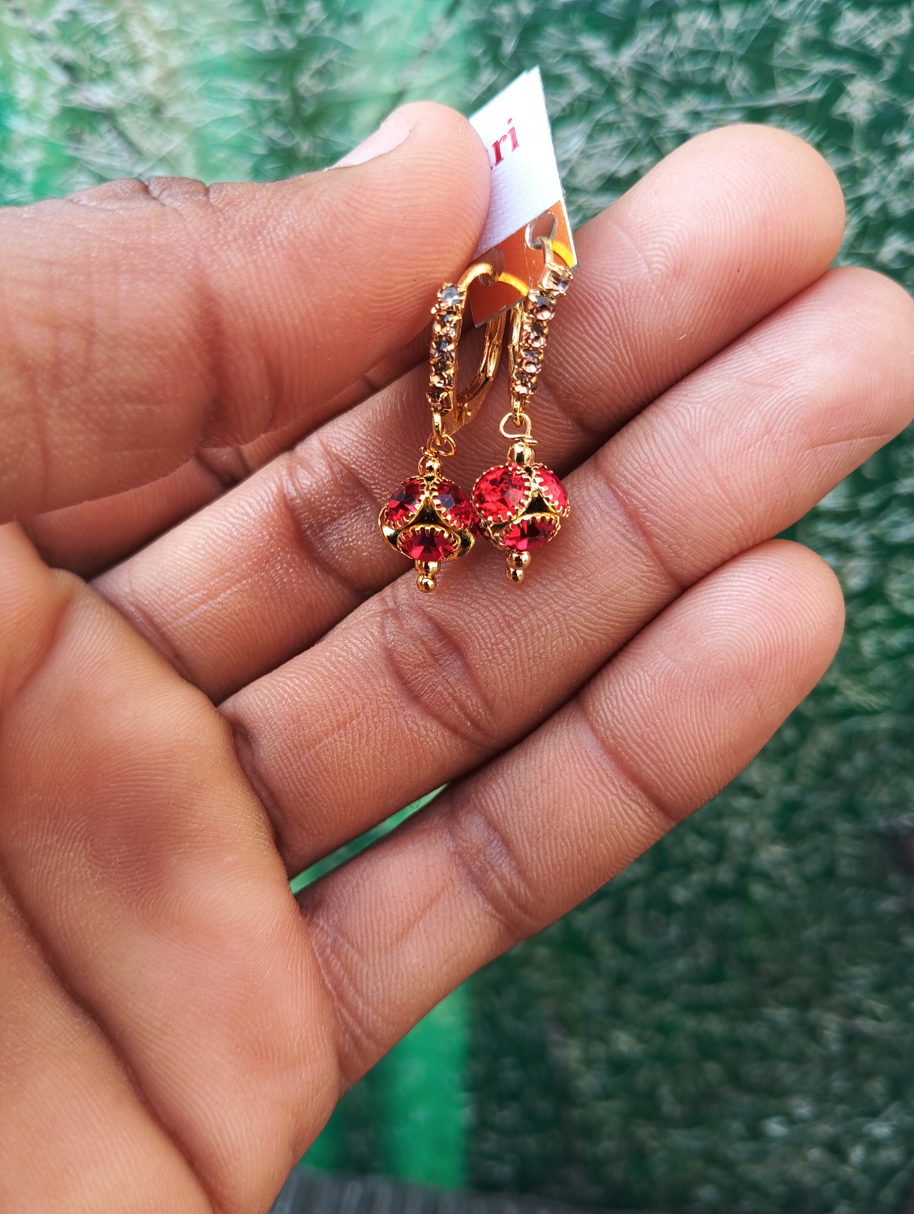 Elegant Red Crystal Drop Earrings