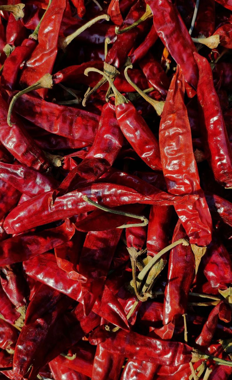 Dried Red Chili 