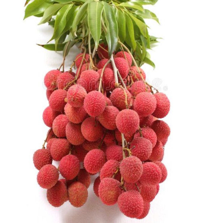 Fresh Lychees