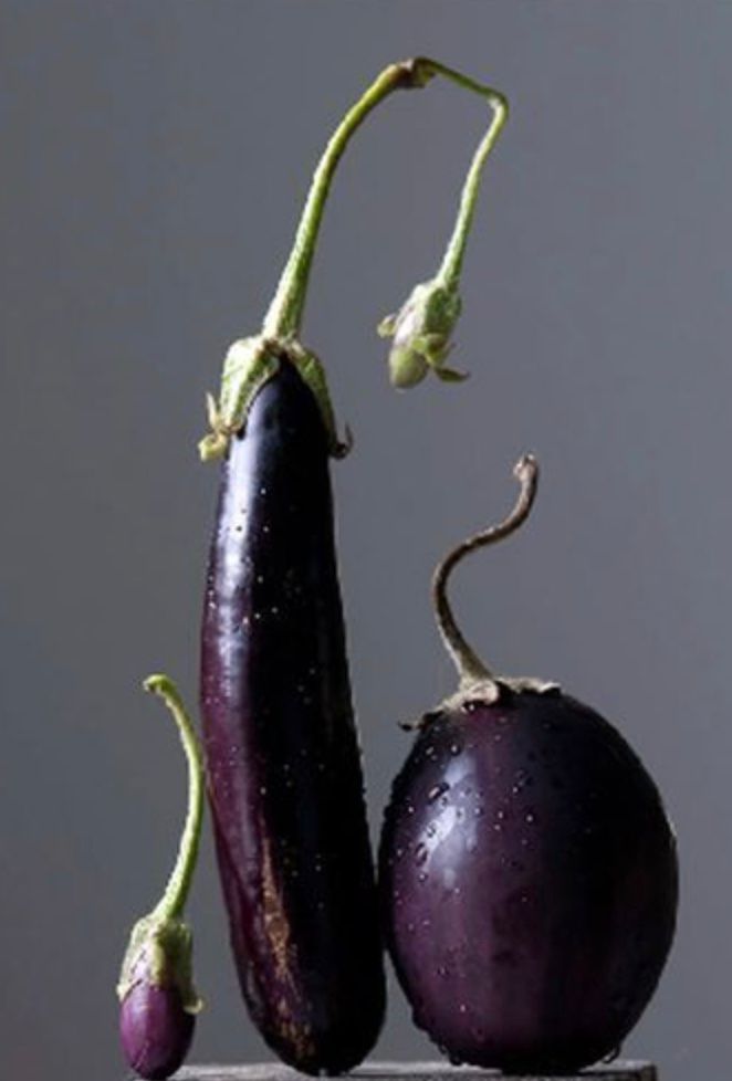 Eggplants