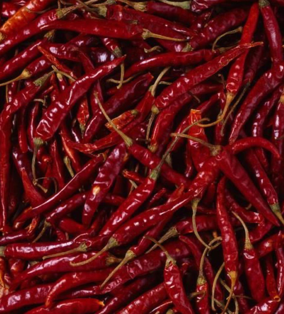 Dried Red Chili 