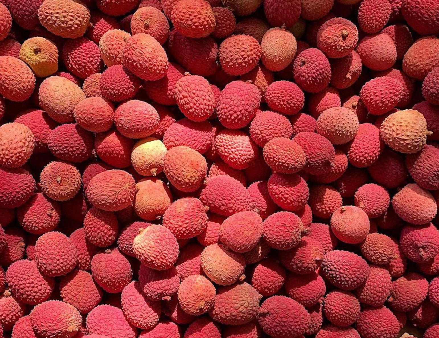 Fresh Lychees