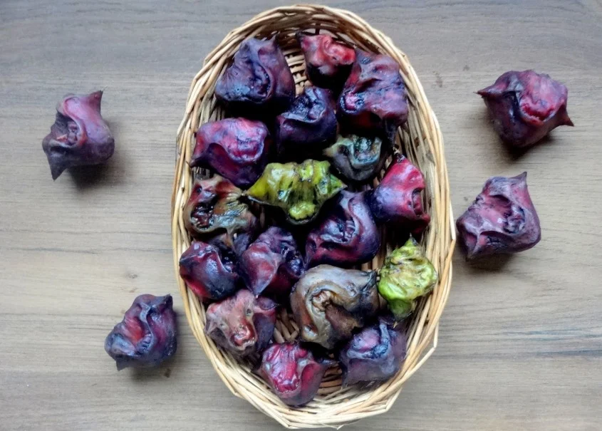 Water Caltrop (Singhara)