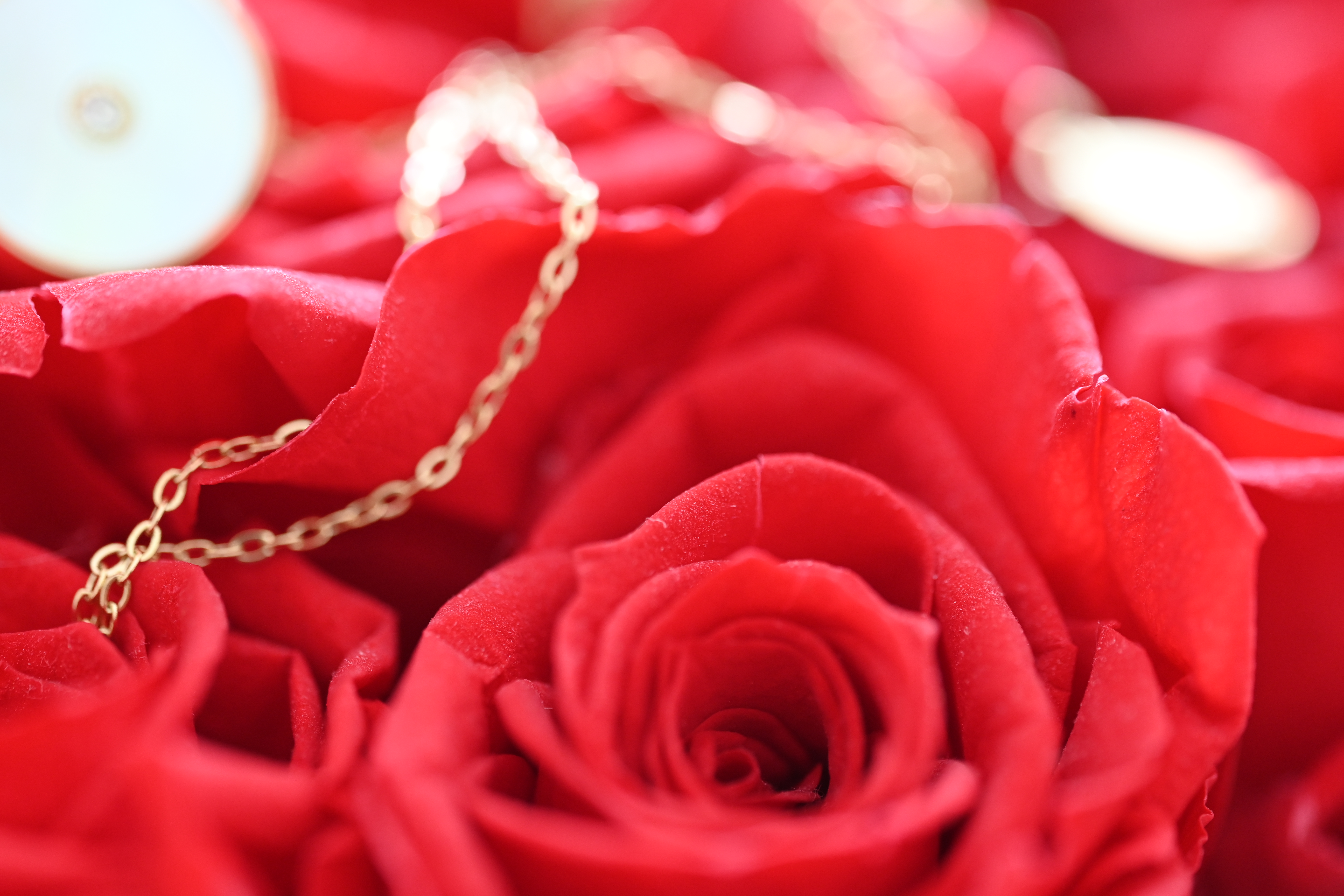 Conjunto de Joyas en Acero Inoxidable Dorado con Madreperla