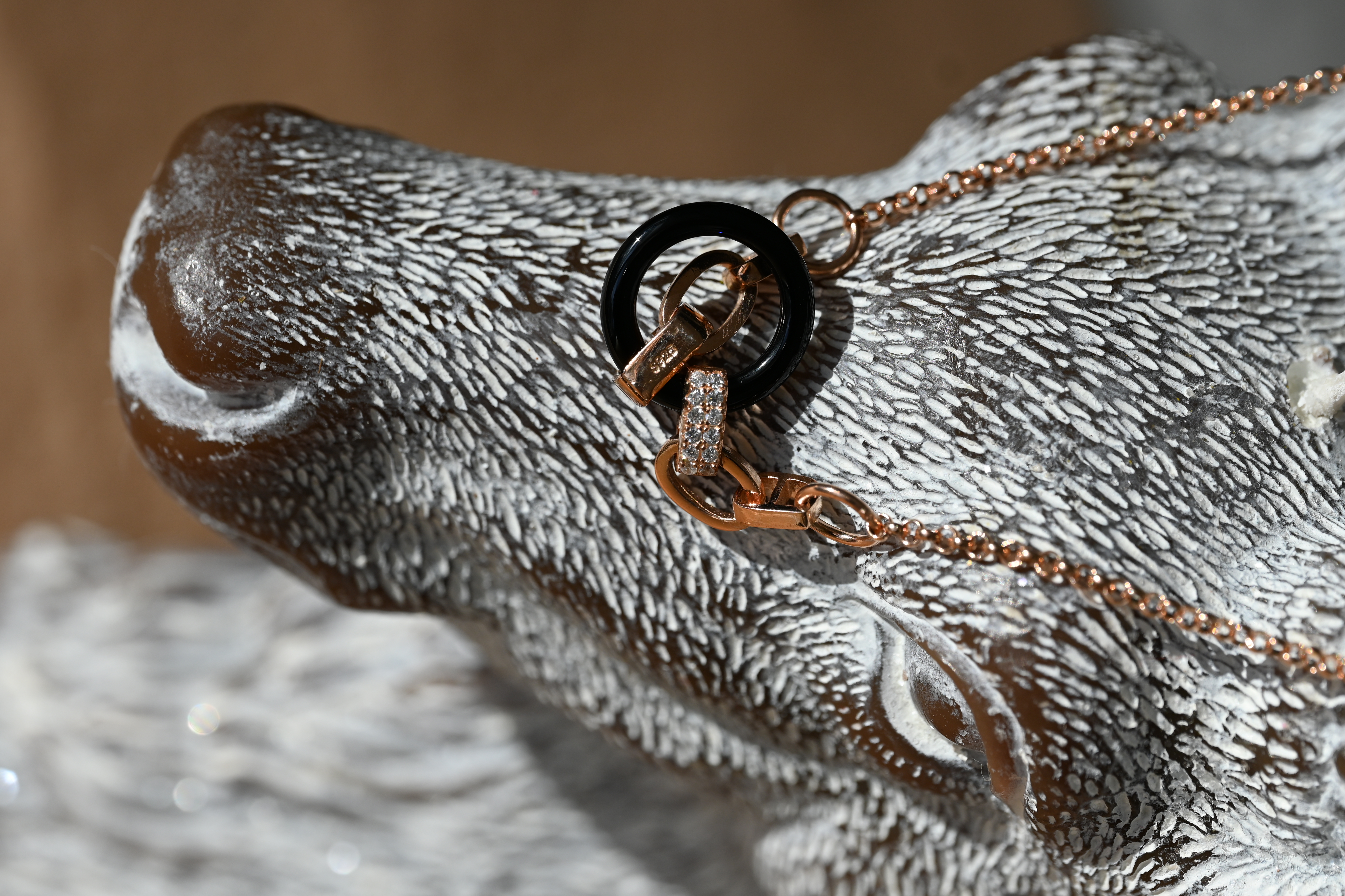 Silver necklace with intertwined rings