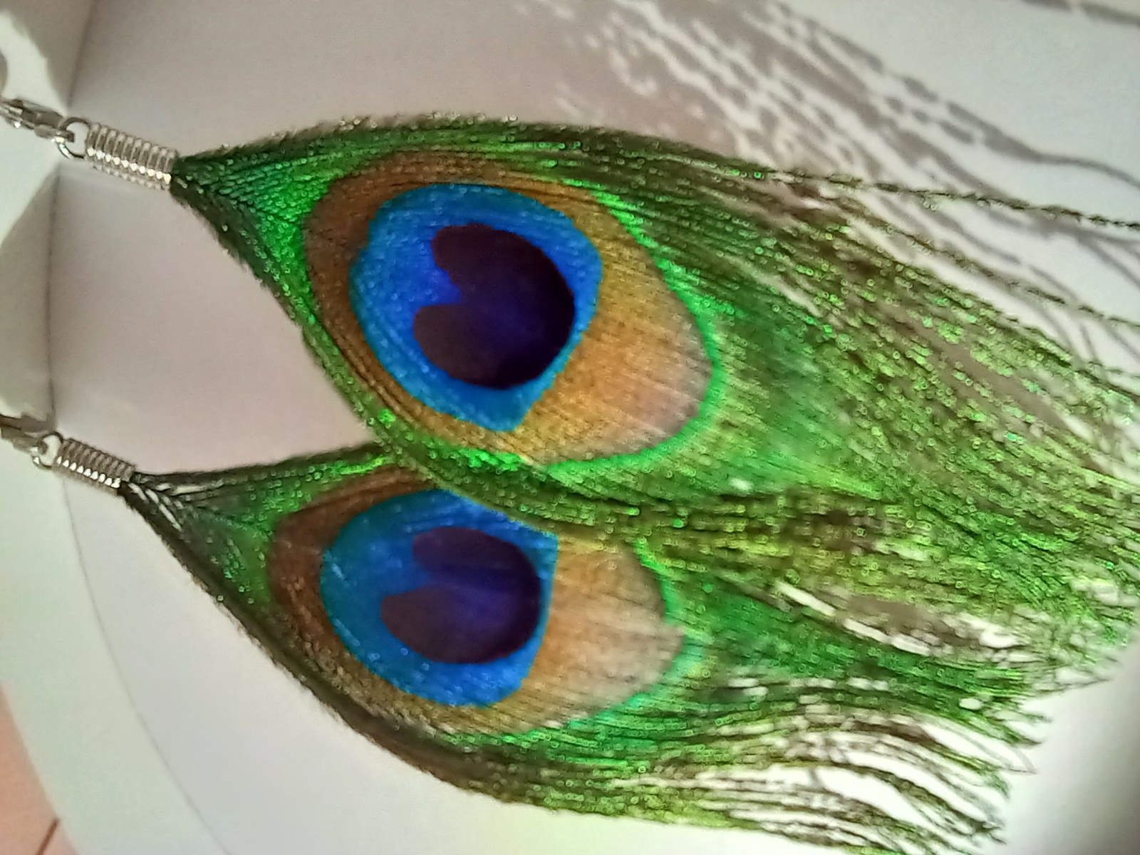 Peacock feathers