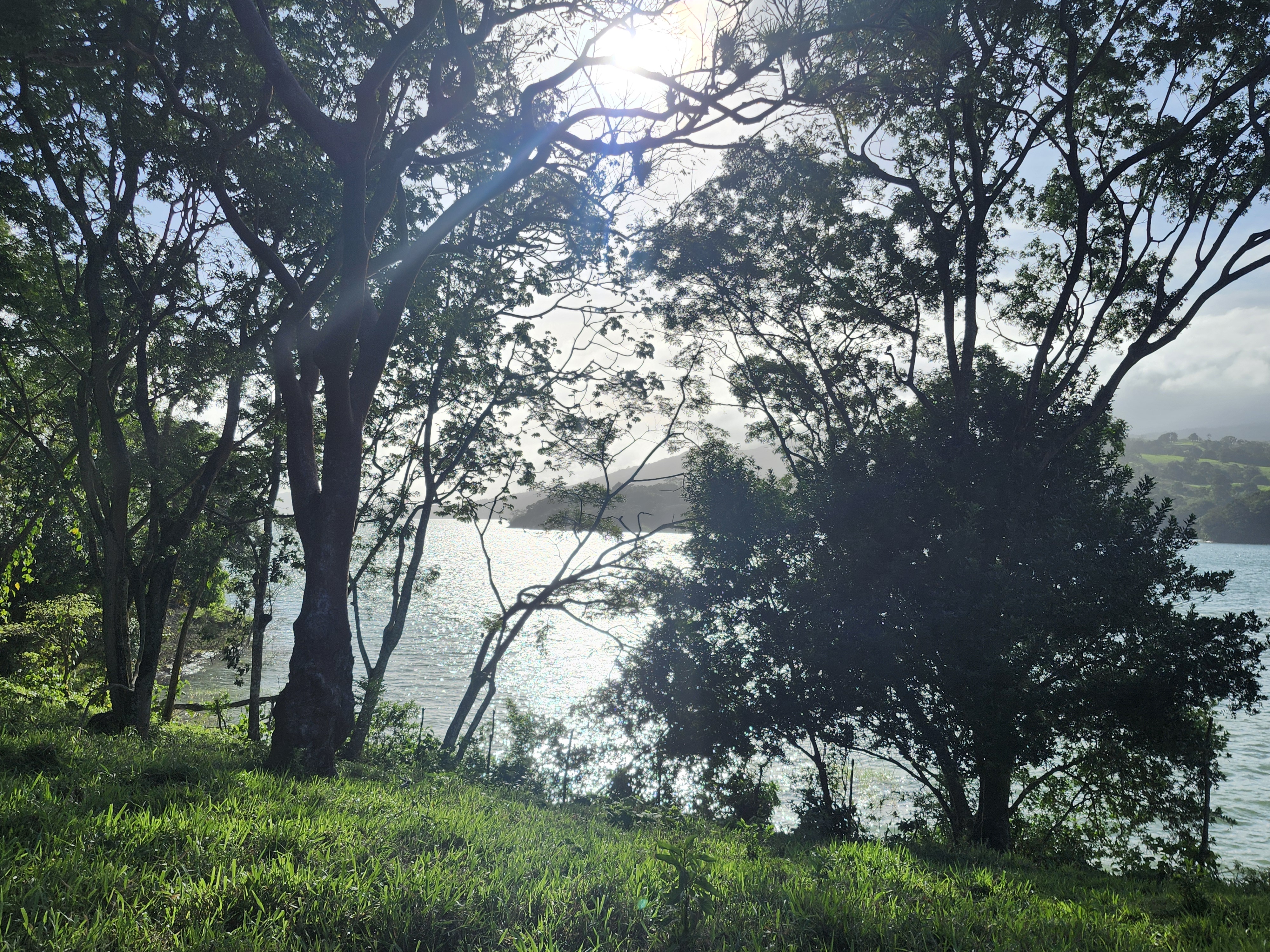 Book Your Coaching Session