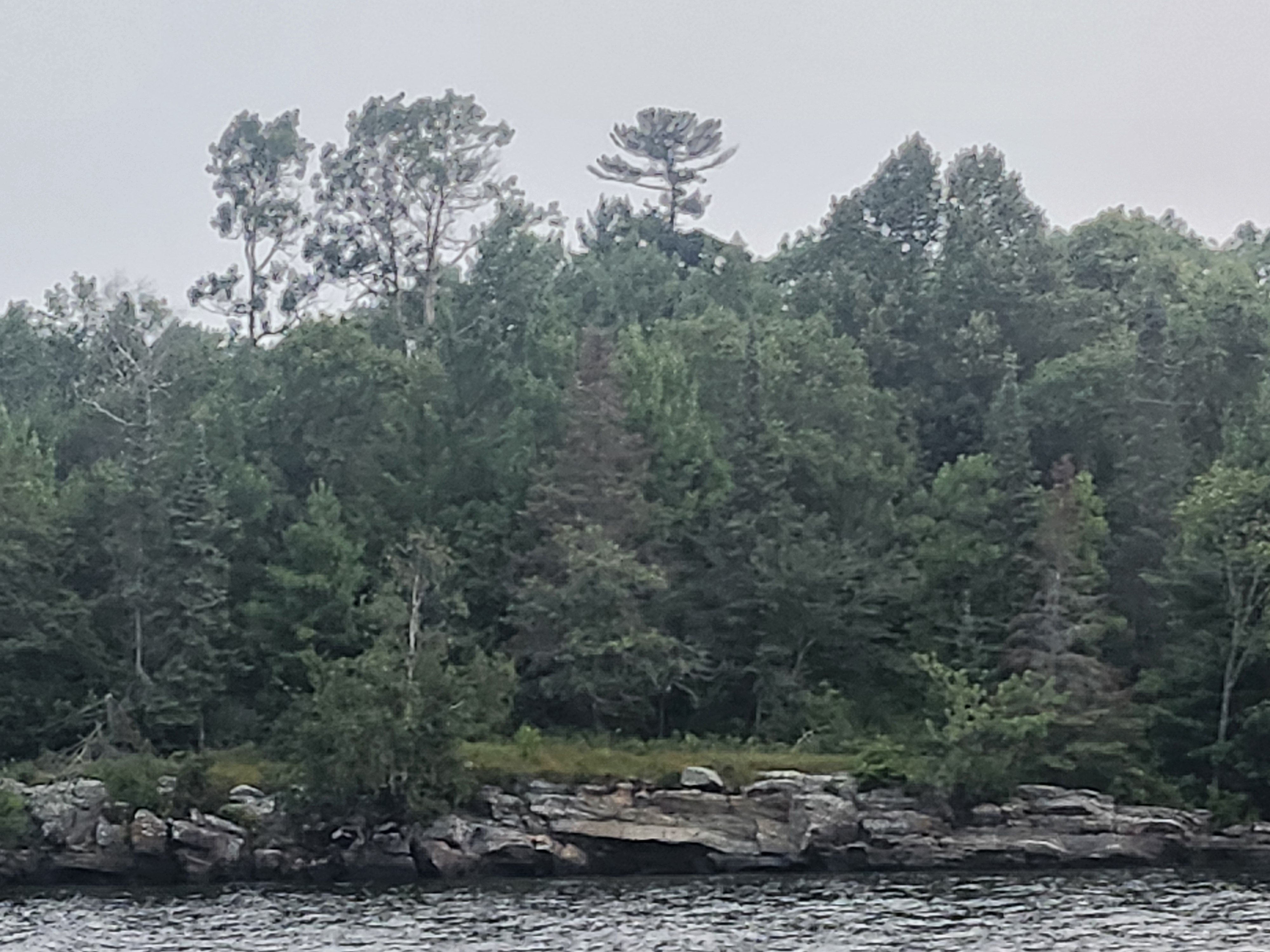 Coaching Package (Cancer Patient/Survivor)