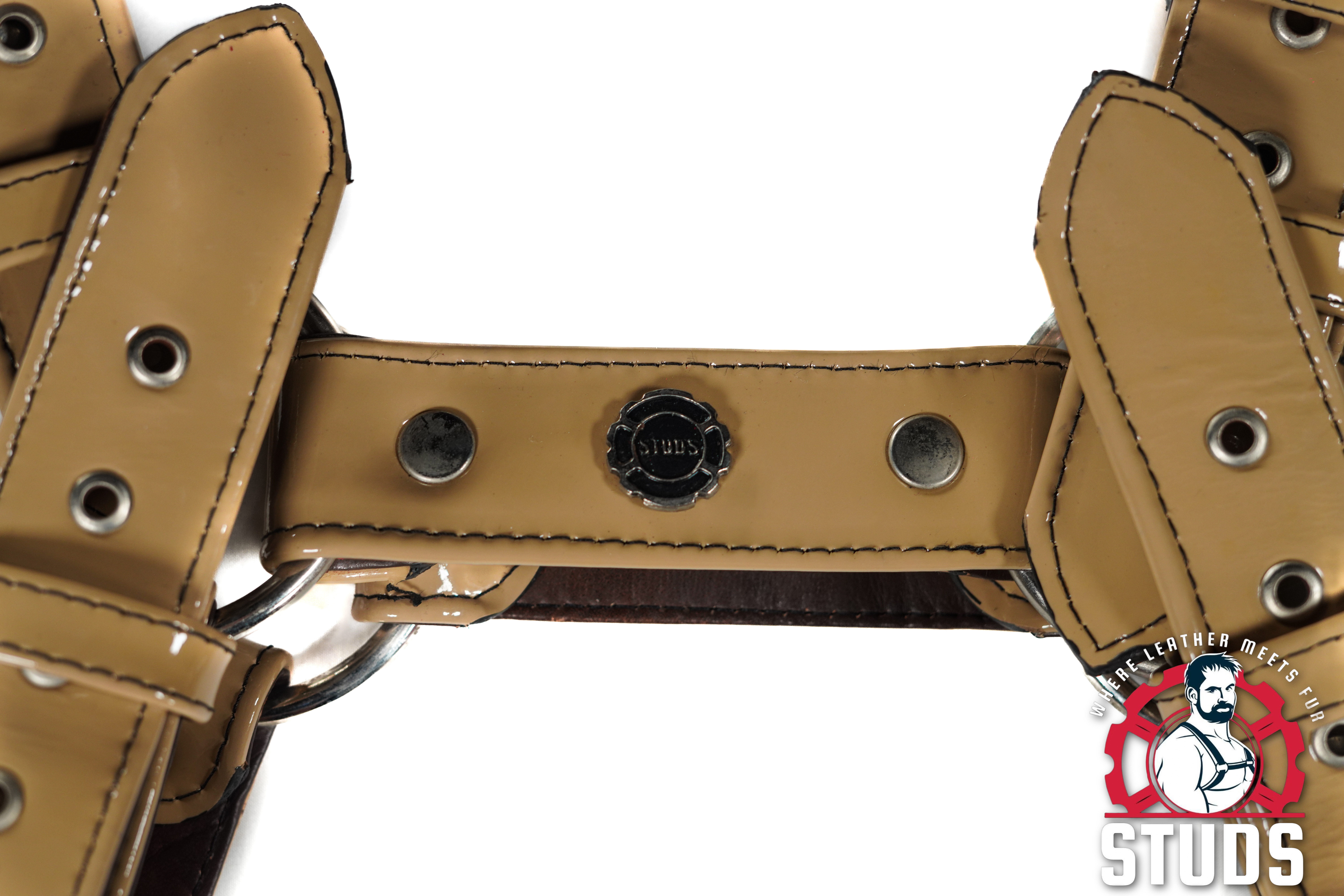 Leather Chest Harness