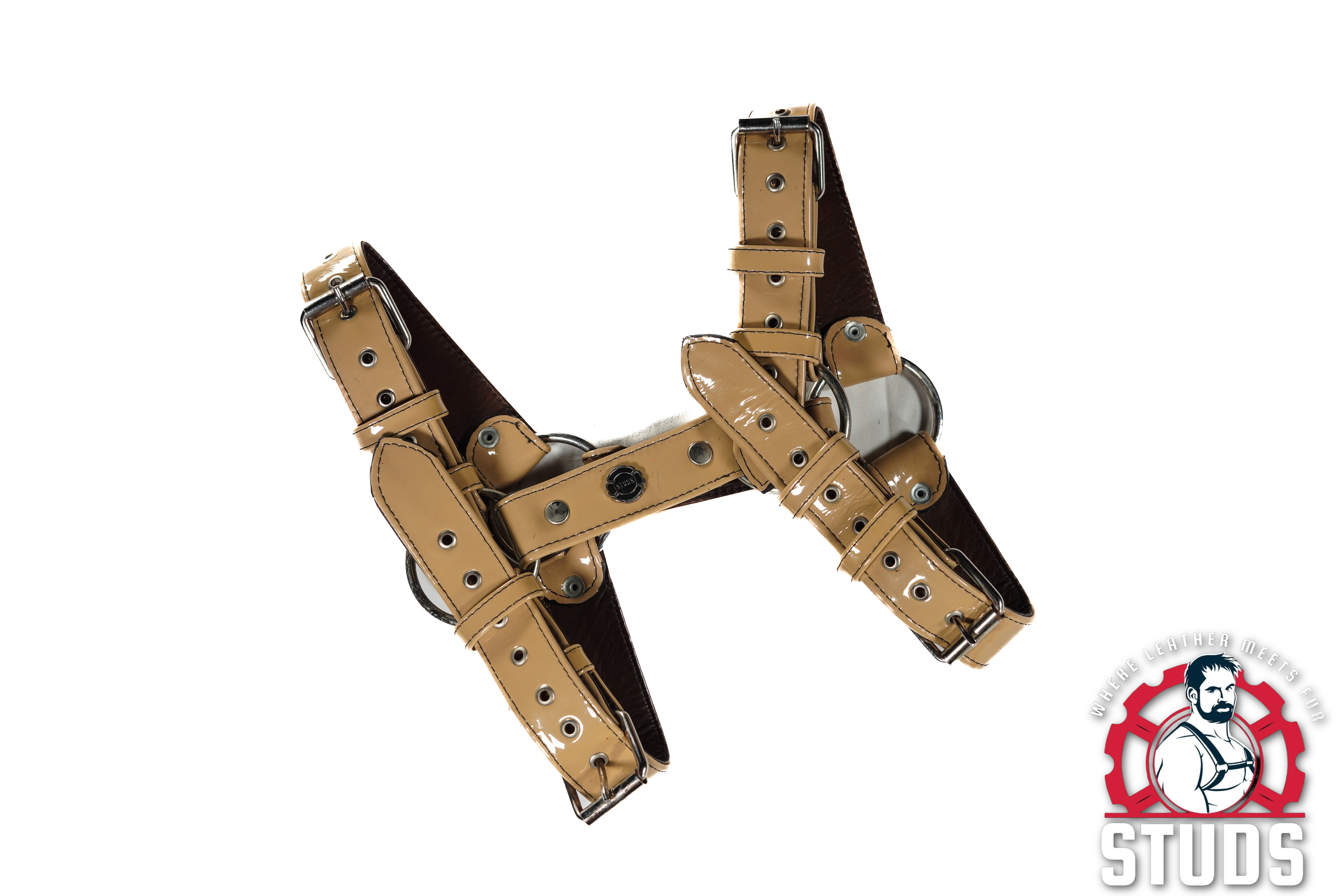 Leather Chest Harness