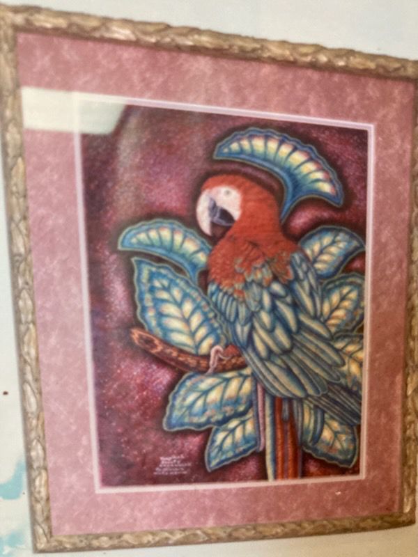Framed Parrot Artwork