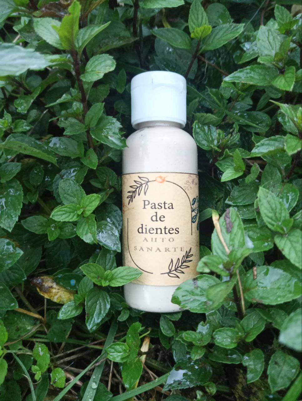 Pasta de dientes natural